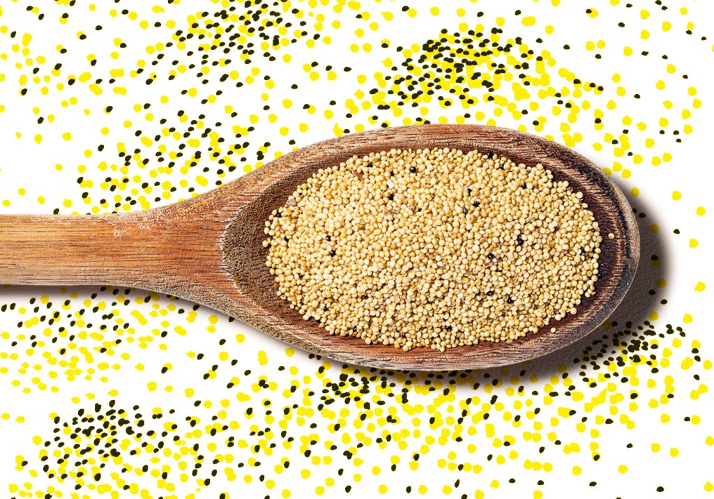 Amaranto, uma ótima fonte de proteína