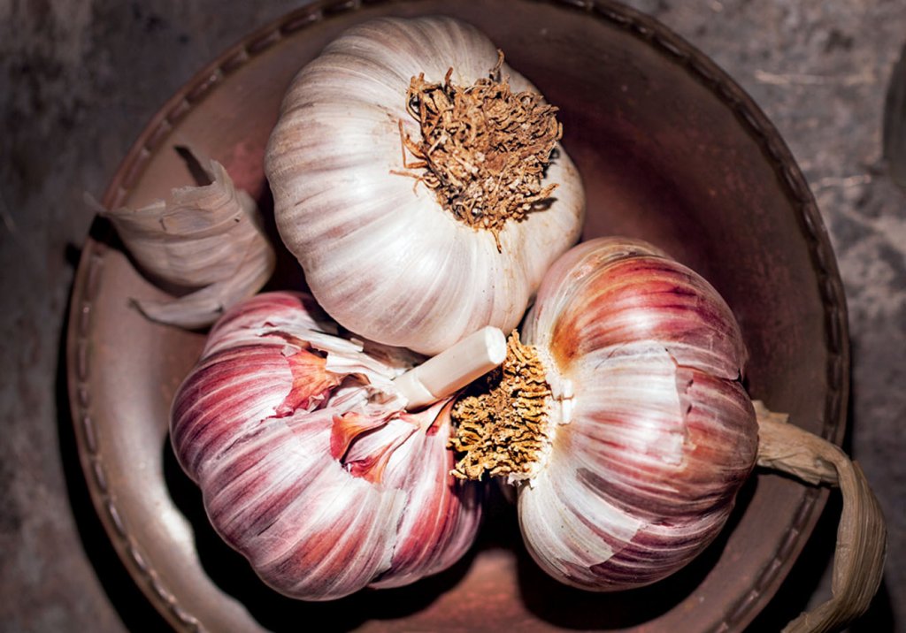 Alho: benefícios, como plantar e como aproveitar na cozinha