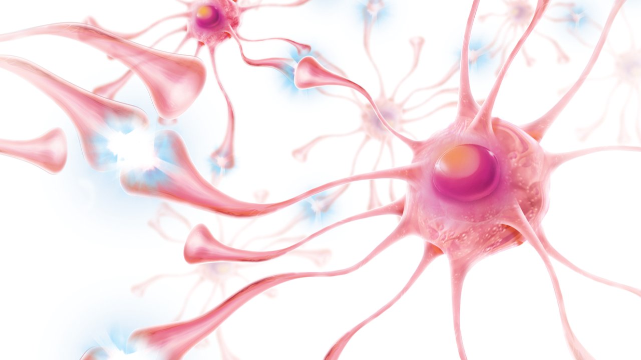 Epilepsia como cuidar