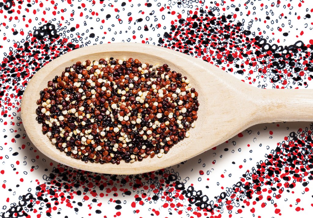 Quinua, um grão divino