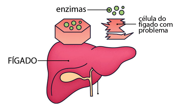 8. TGO e TGP 8. TGO e TGP
