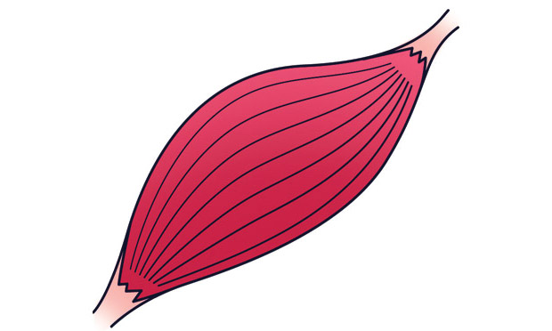 10. Eletrólitos 10. Eletrólitos