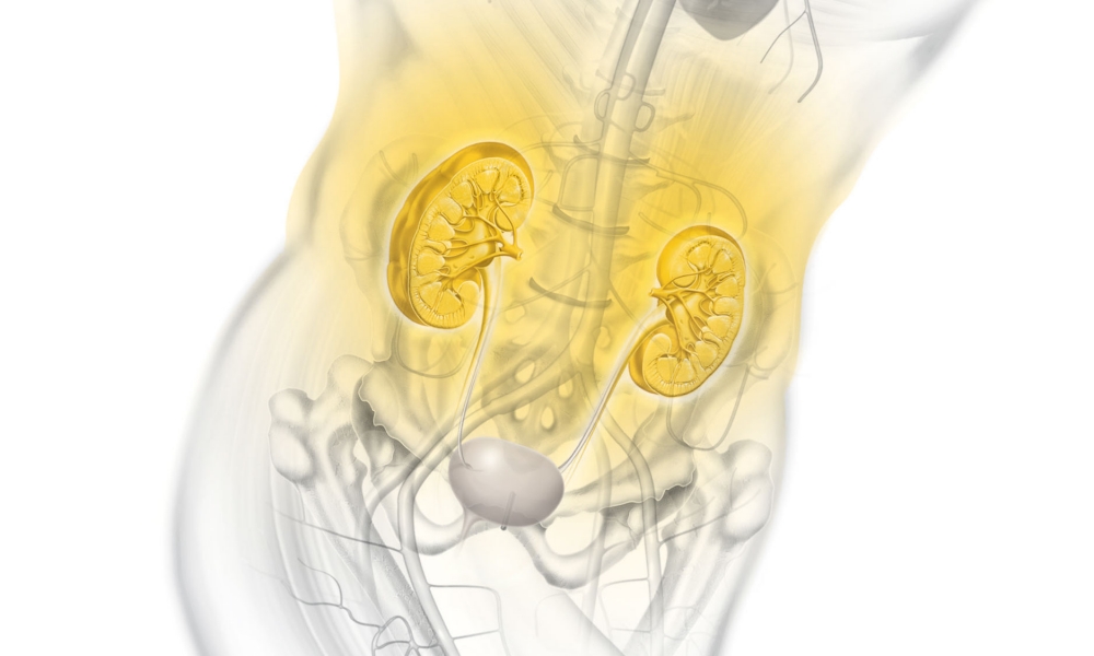 Exercício físico pode diminuir o risco de doença renal crônica
