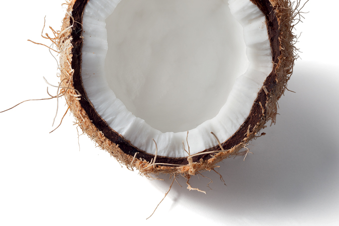 A redescoberta do coco