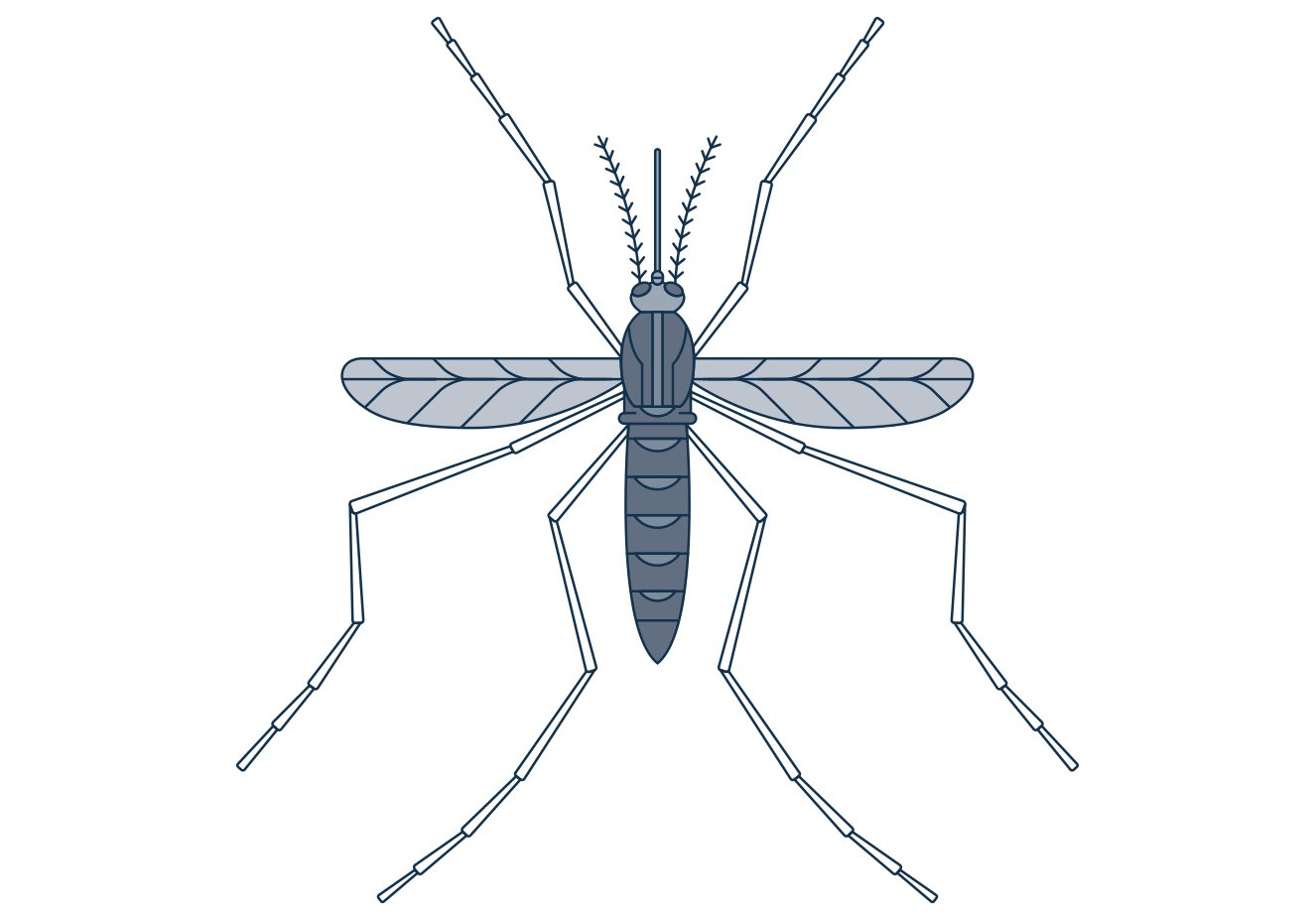 Zika afeta mais bebês do que se pensava antes