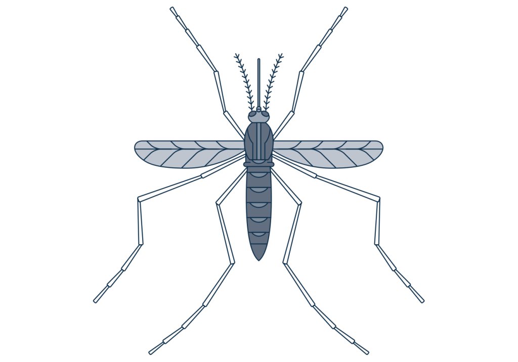 Zika afeta mais bebês do que se pensava antes