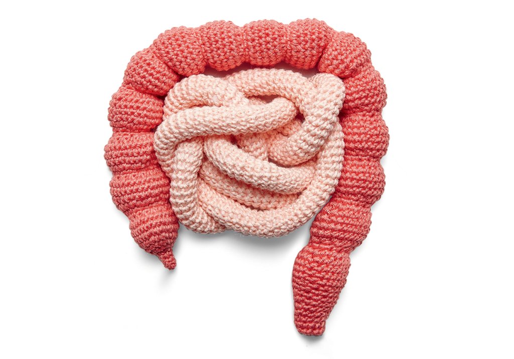 A tremenda influência das bactérias do intestino