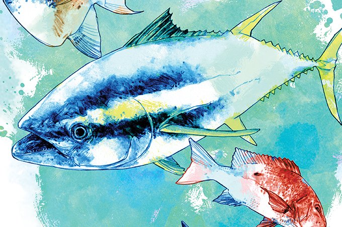 Você sabe reconhecer um peixe por seus destaques nutricionais?