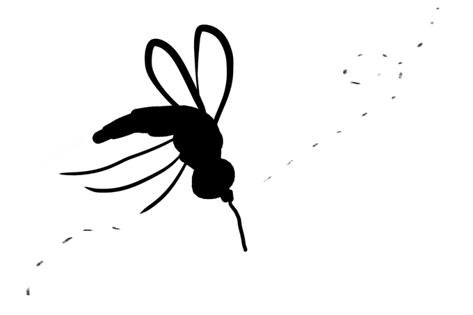 Leishmaniose, a doença endêmica que ainda cresce no Brasil