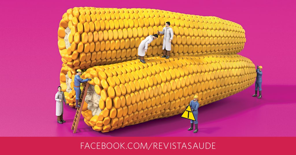 O papel dos alimentos transgênicos