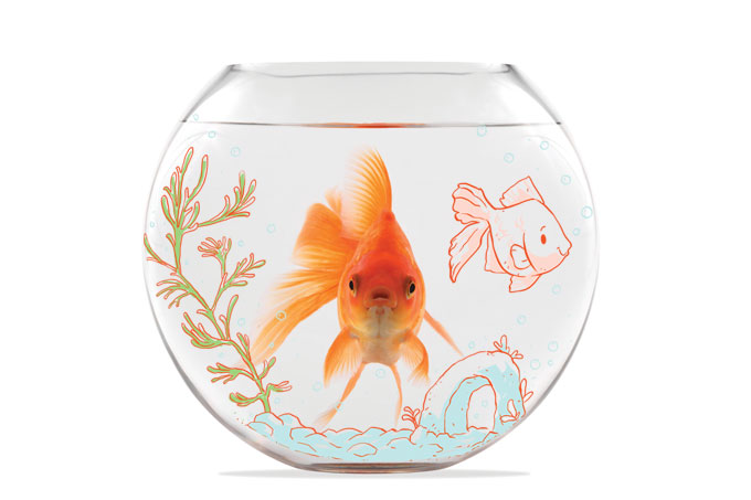 Peixes também sofrem de depressão. Aprenda como prevenir