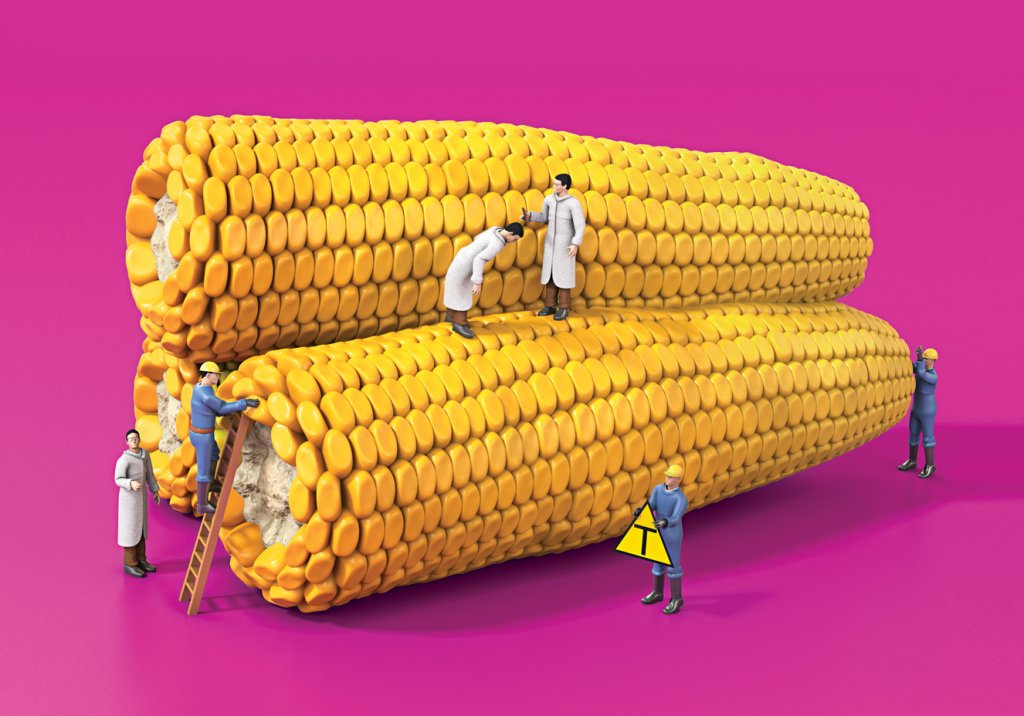 A semente da discórdia: existe mesmo alimento natural?