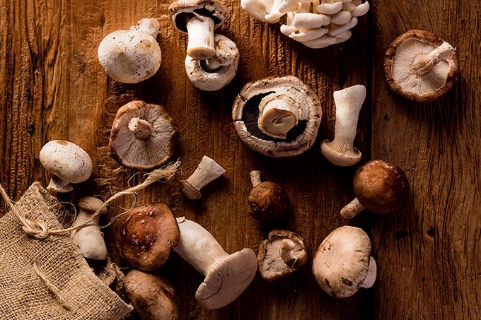 Como cultivar cogumelos em casa – e ganhar sabor e saúde na dieta