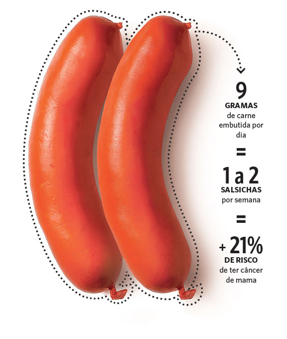 Alimentos industrializados causam câncer