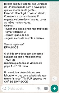 chá de erva doce contra gripe