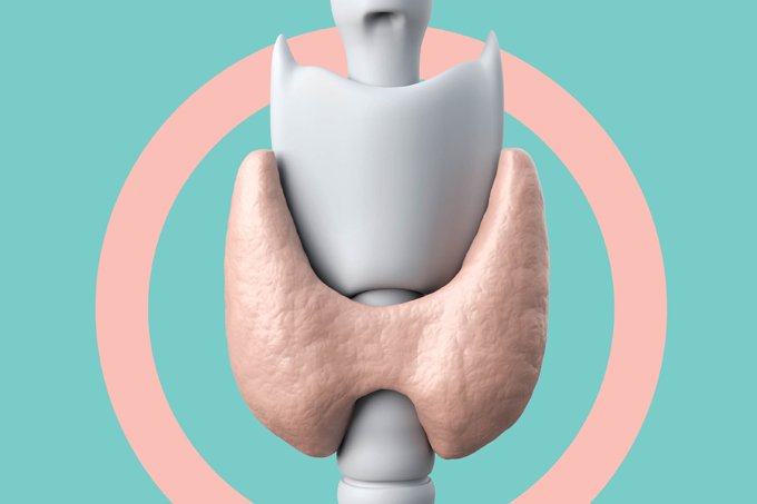 10 mitos e verdades sobre a tireoide e os seus hormônios