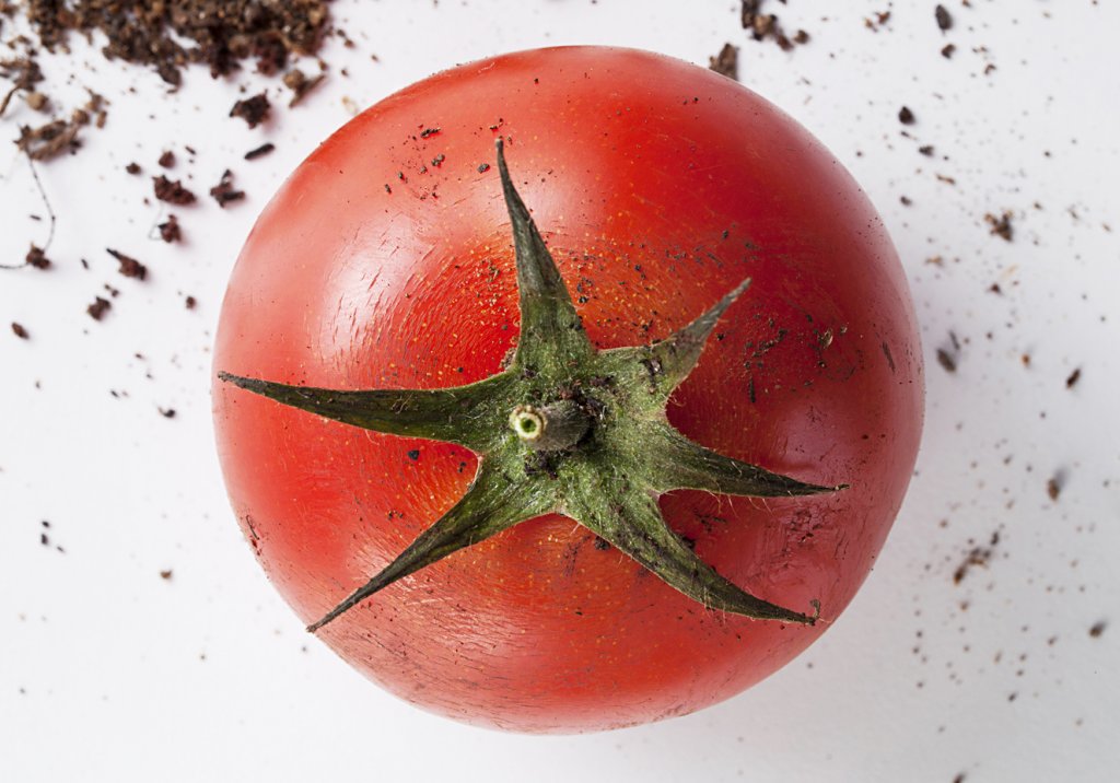 A relação entre os alimentos orgânicos e o meio ambiente