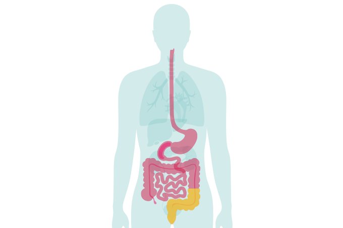 O retrato das doenças inflamatórias intestinais no Brasil