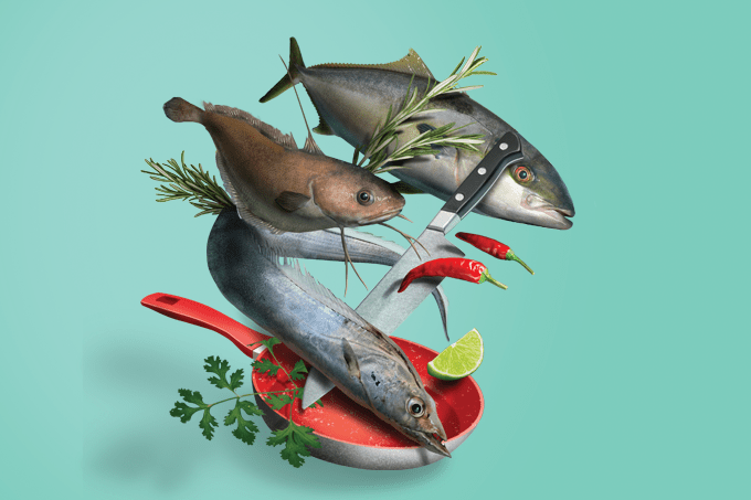 Um mar de peixes nativos e alternativos para desbravar