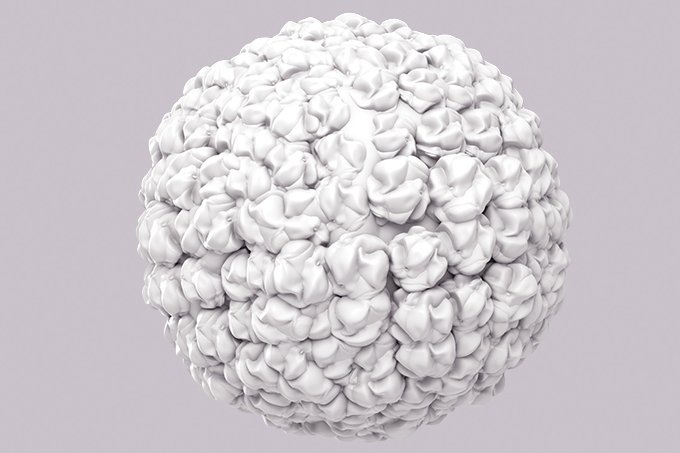 O que HPV tem a ver com câncer anal? Tudo!