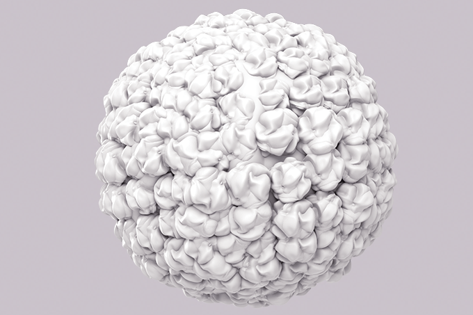 O que HPV tem a ver com câncer anal? Tudo!