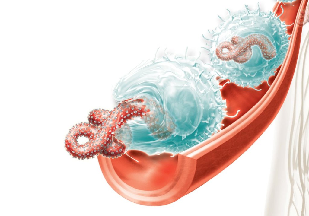 Novo surto de ebola: o que você deve saber sobre esse vírus