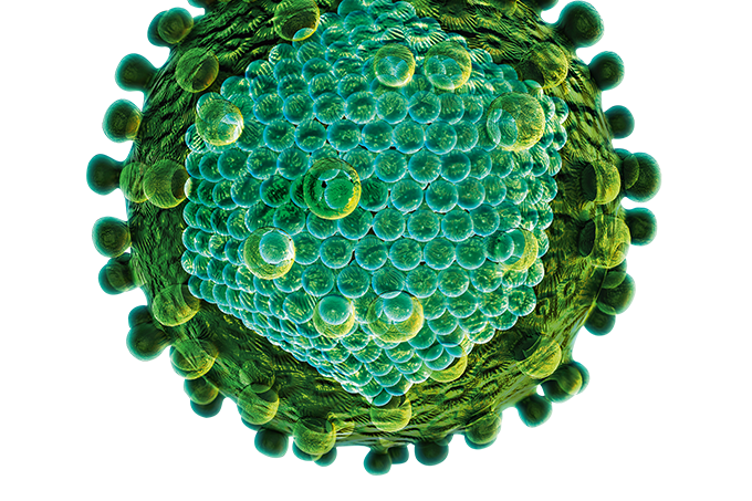 Os cuidados com as hepatites durante a pandemia de coronavírus