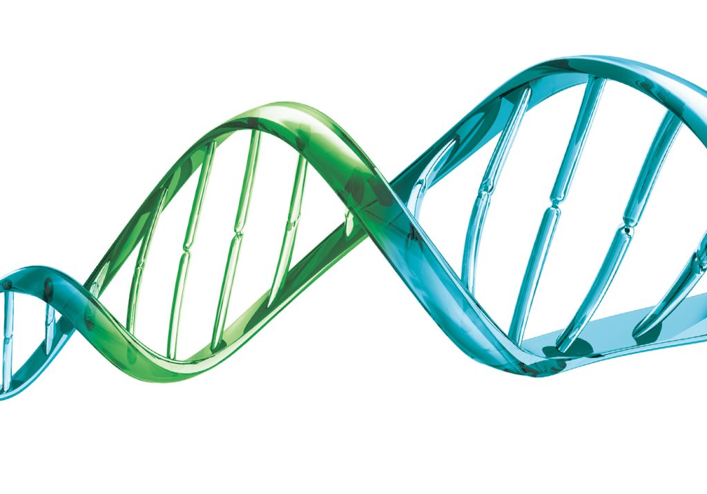 Enquete: você já realizou algum teste genético?