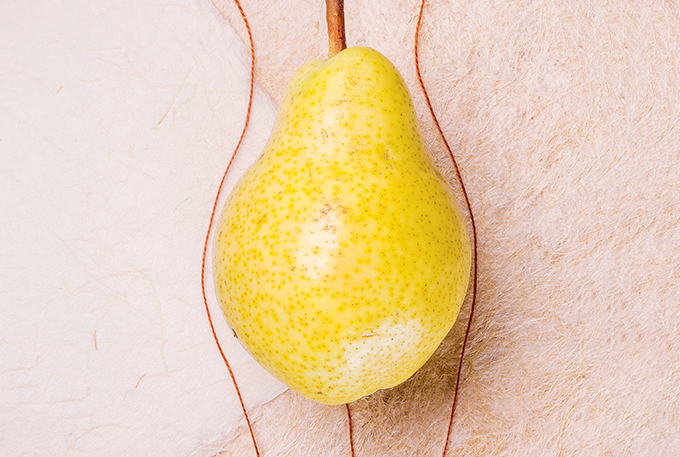 Mais fibras para engravidar