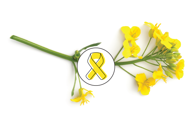 É possível e preciso prevenir o suicídio