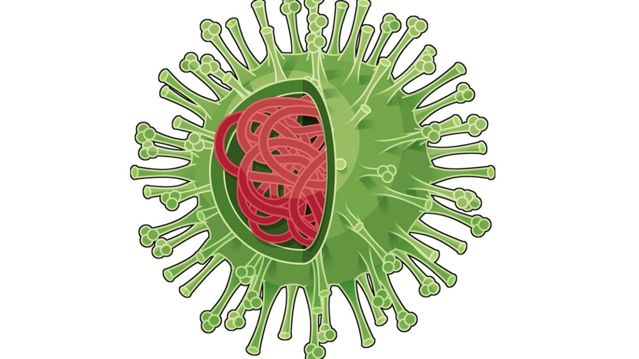 vacina chinesa coronav para coronavirus