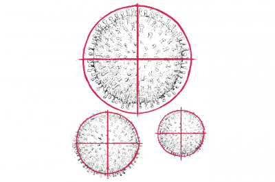 anticorpo para coronavirus