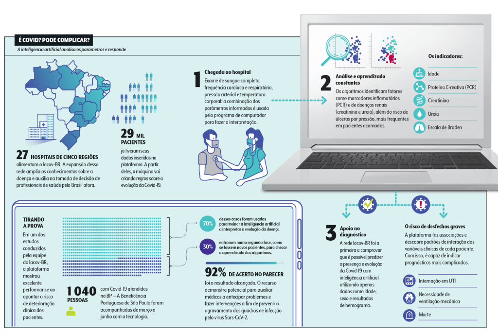 infográfico do trabalho vencedor