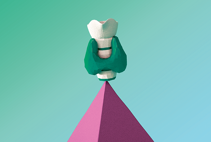 Tireoide em equilíbrio