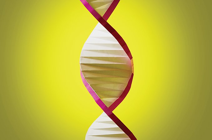 A (r)evolução pelos genes