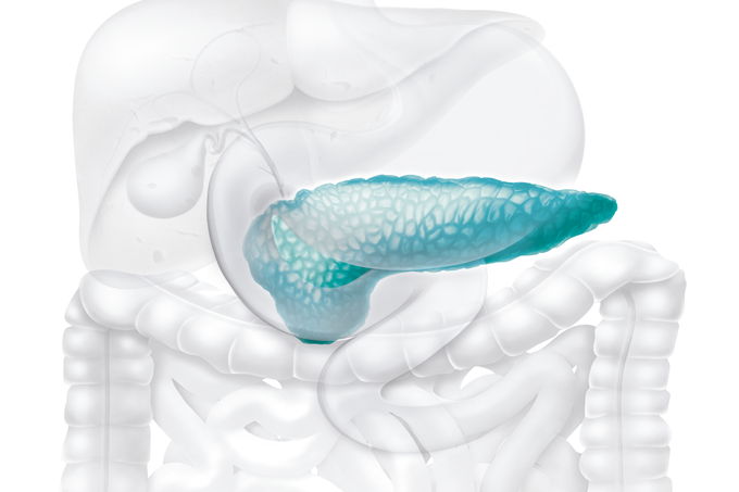 Conheça a primeira caneta que reduz gordura no sangue e previne casos de pancreatite