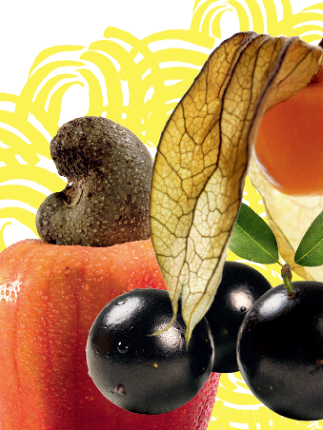 frutas da estação