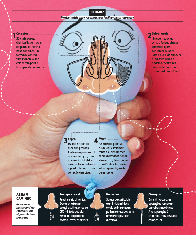 Ilustração mostrando como o nariz funciona