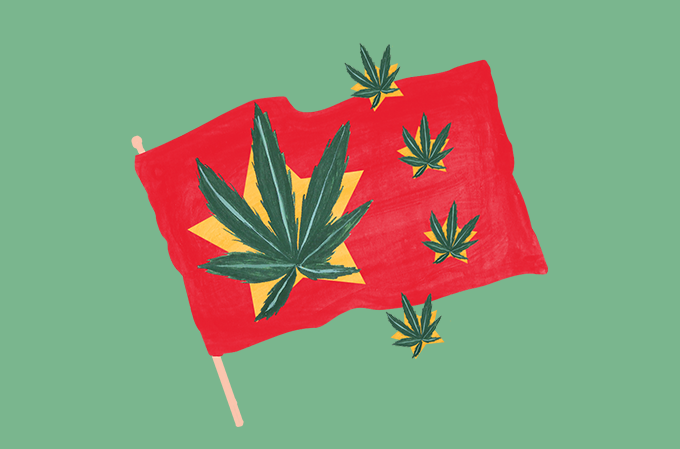 radar-lugar (1) ilustração da bandeira da china com a planta cannabis estampada dentro