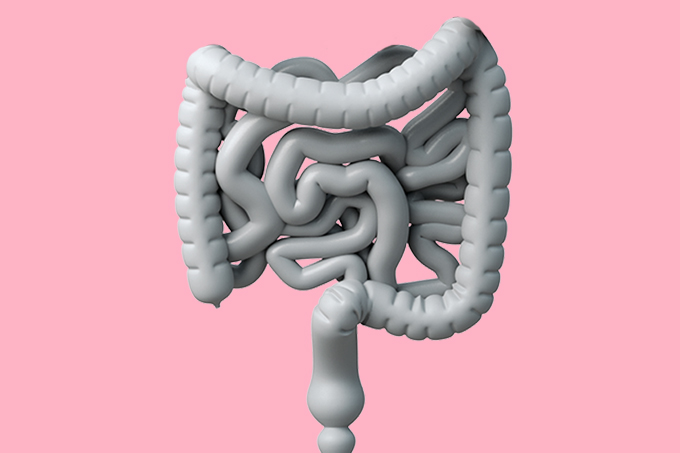 ilustração de intestino grosso e delgado