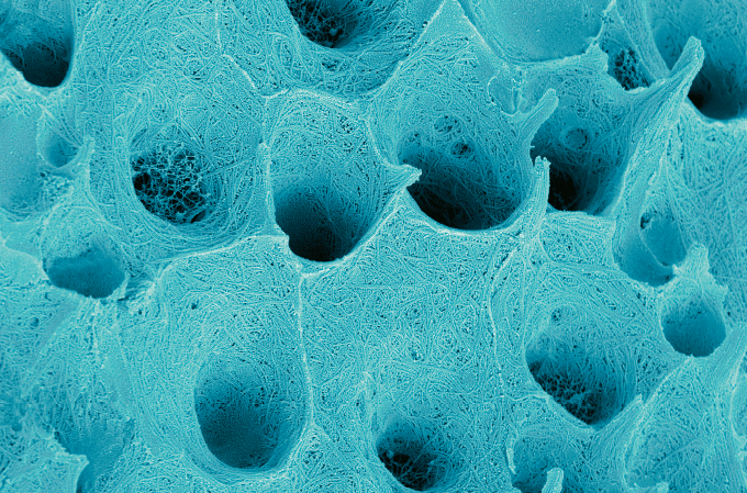 Foto de cor azul tirada por cientistas mostra o interior dos dentes, a camada chamada dentina