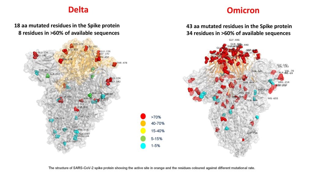 A diferença da variante Ômicron da Delta variante covid ômicron