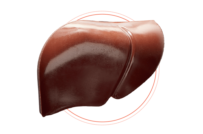 Boa e má notícia para o fígado