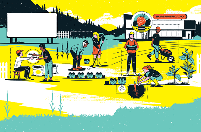 Como é a produção de vegetais orgânicos?