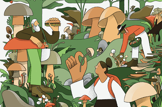 A redescoberta dos fungos