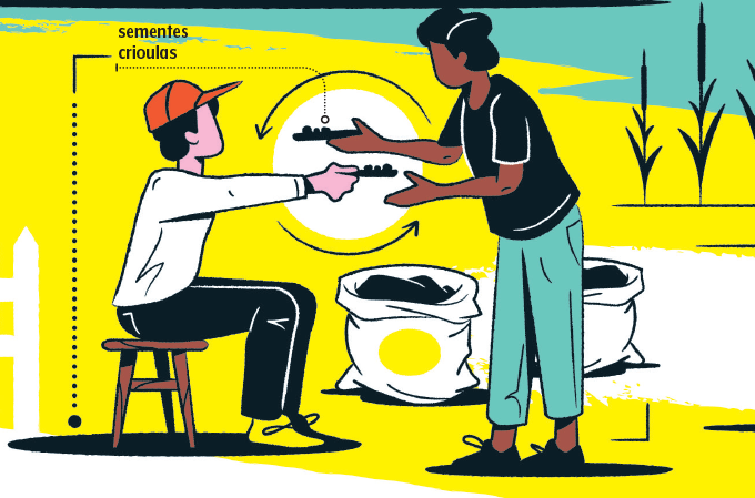 produção orgânica vegetais orgânicos