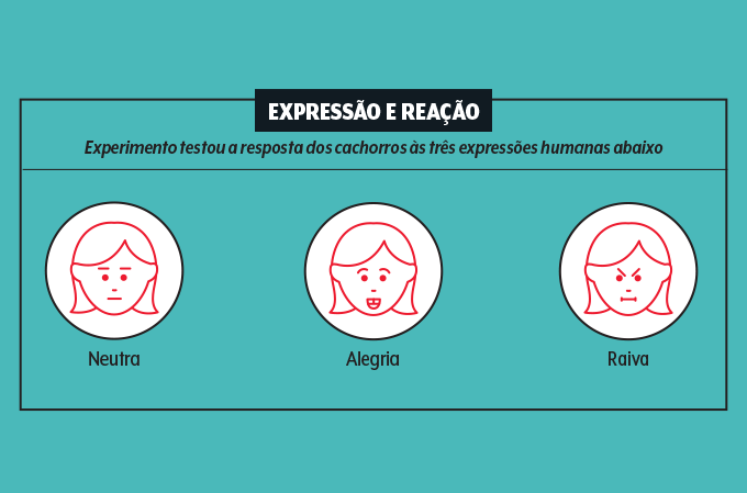 desenhos de expressões faciais