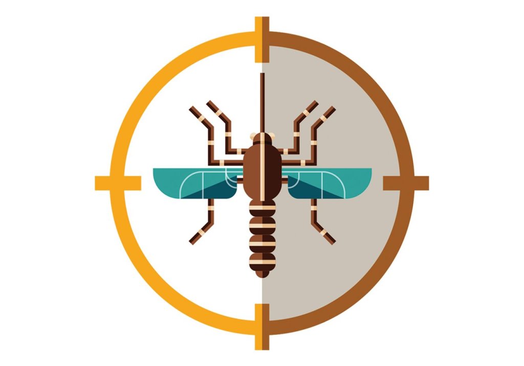 Covid-19 e dengue em alta no mesmo lugar: atenção redobrada