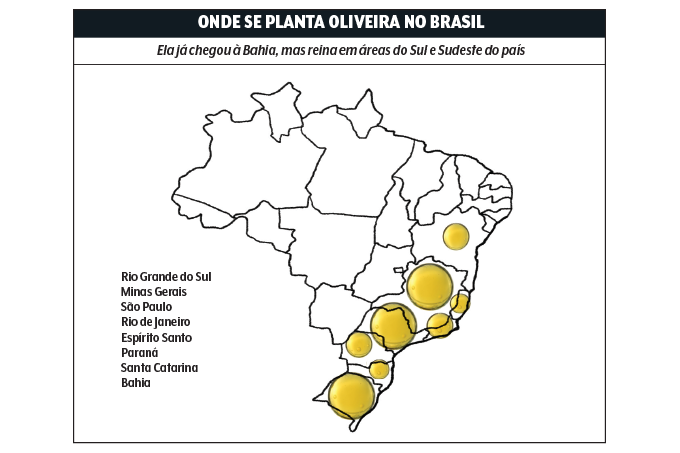 479-materia-azeite-quadro-02 mapa do brasil mostrando produção de azeite