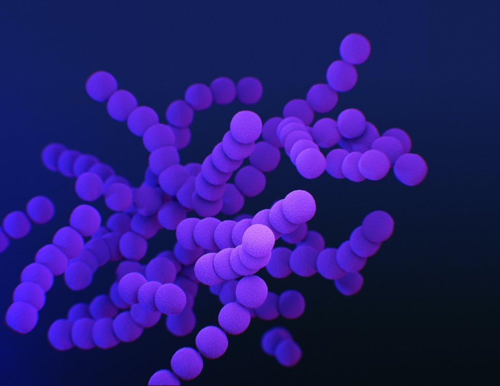 Entrevista: como conter bactérias multirresistentes geradas pela pecuária